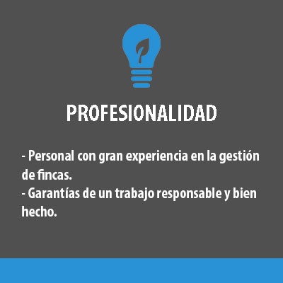 profesionalidad_gris